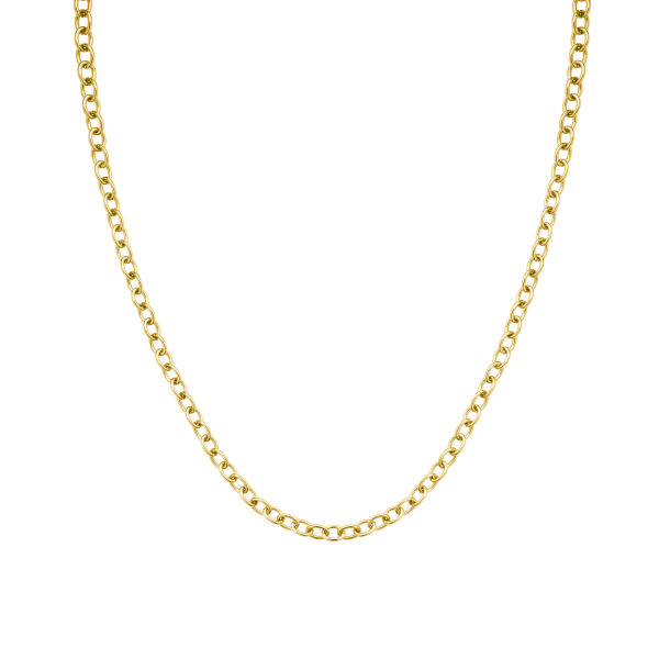 Oval Chainlink Necklace - Gold